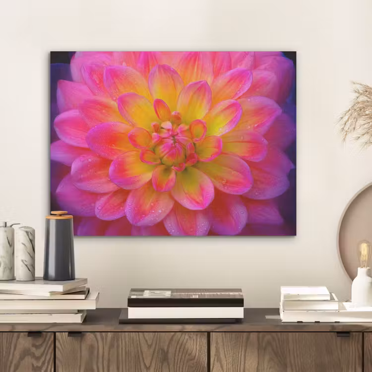 Roze - Dahlia - Kleurrijk PET vilt klein -sfeer1