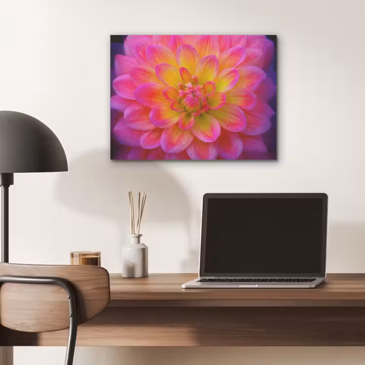 Roze - Dahlia - Kleurrijk PET vilt klein -sfeer5