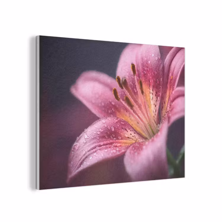 Roze - lelie - Dauwdruppels PET vilt klein -3d