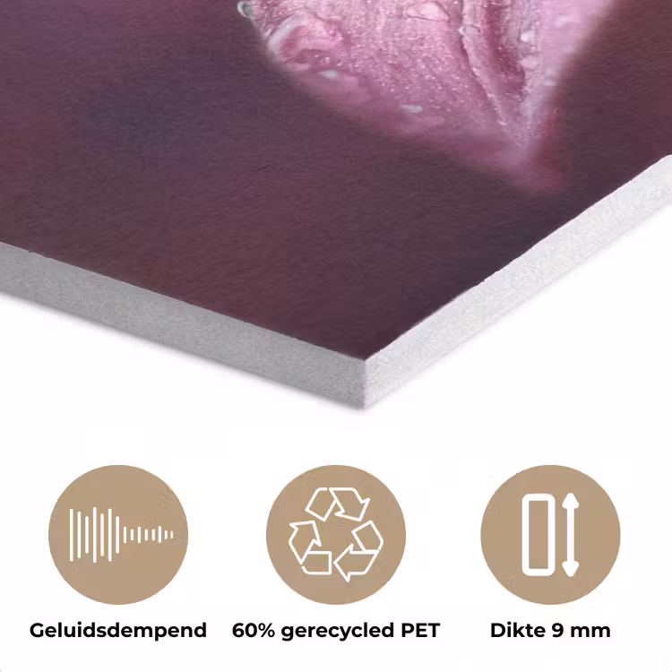 Roze - lelie - Dauwdruppels PET vilt klein -closeup_NL
