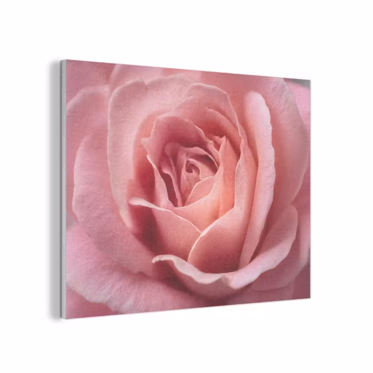 Roze - Roos - Romantisch PET vilt klein -3d