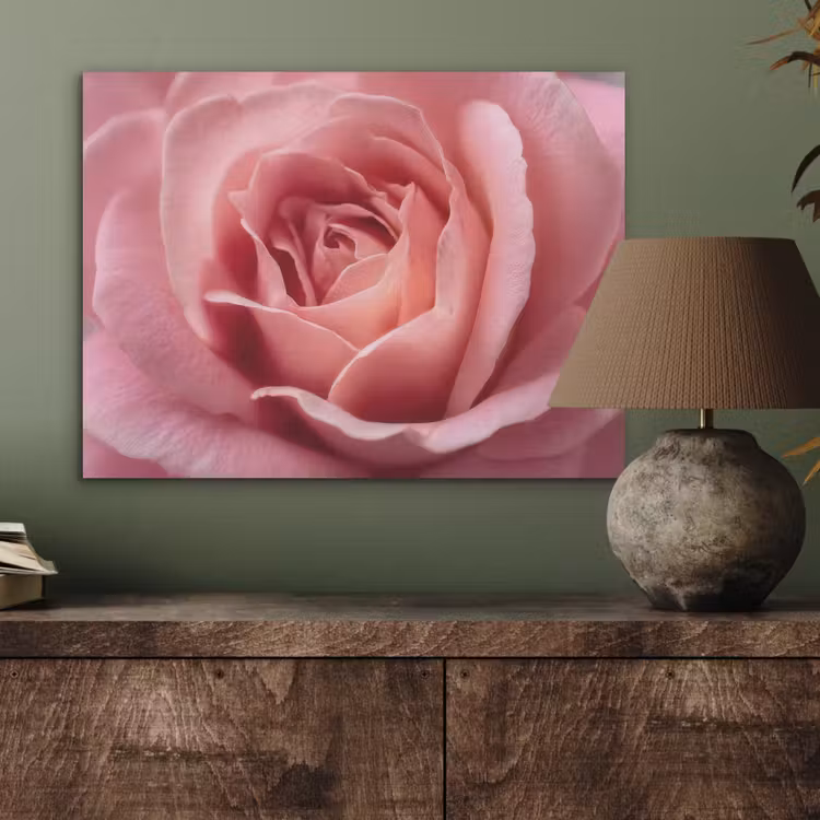 Roze - Roos - Romantisch PET vilt klein -sfeer2