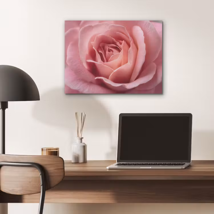 Roze - Roos - Romantisch PET vilt klein -sfeer5