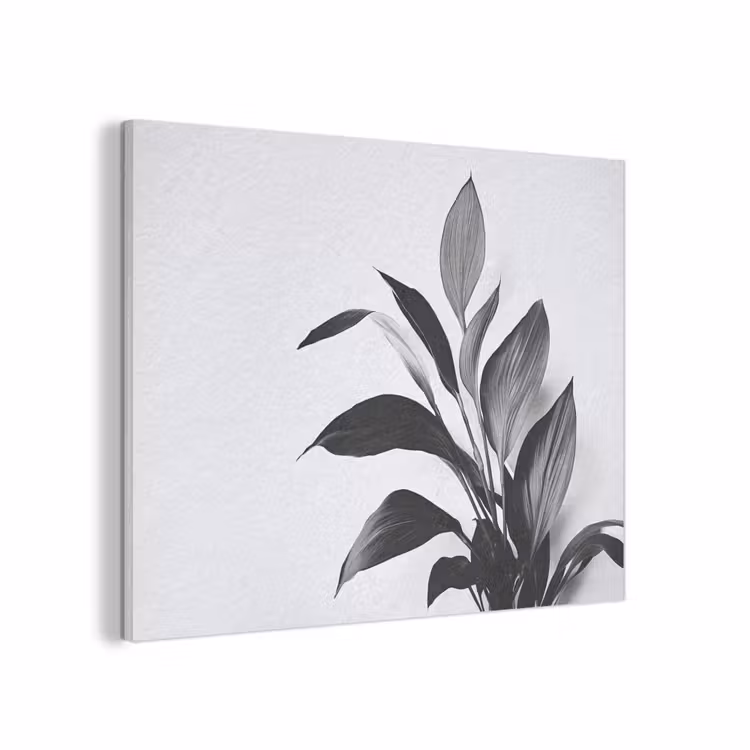 Plant - Bladeren - Minimalistisch - Zwart PET vilt klein -3d