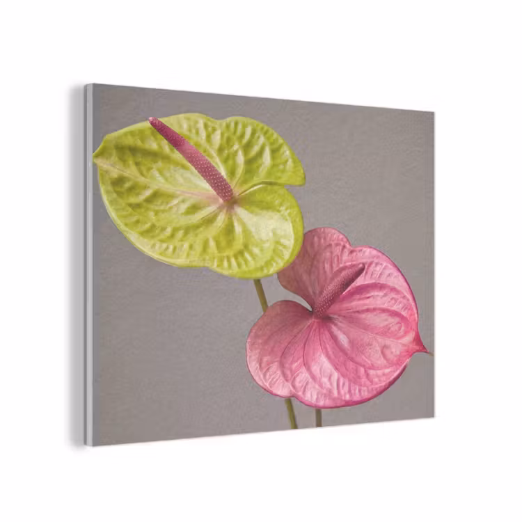 Planten - Anthurium - Groen - Roze PET vilt klein -3d