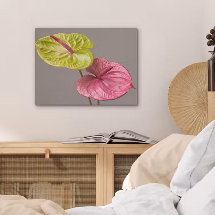 Planten - Anthurium - Groen - Roze PET vilt klein -sfeer3