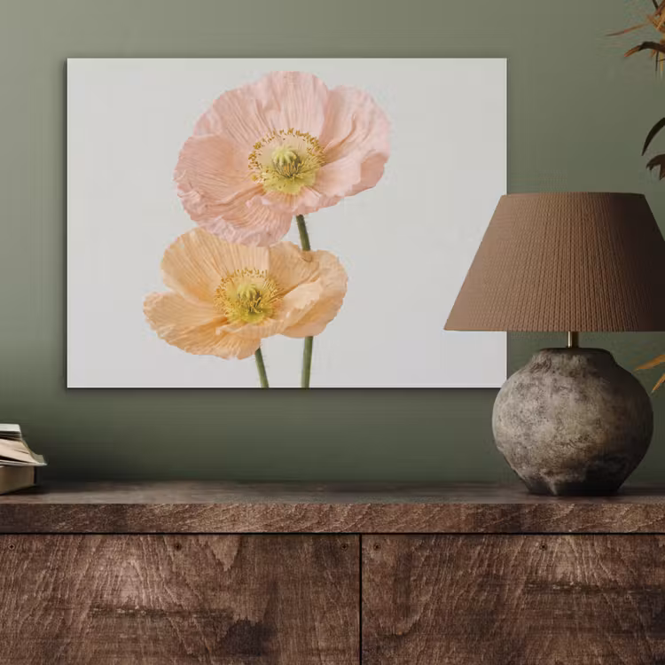 Papavers - Botanisch - Roze PET vilt klein -sfeer2