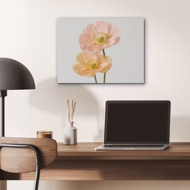 Papavers - Botanisch - Roze PET vilt klein -sfeer5