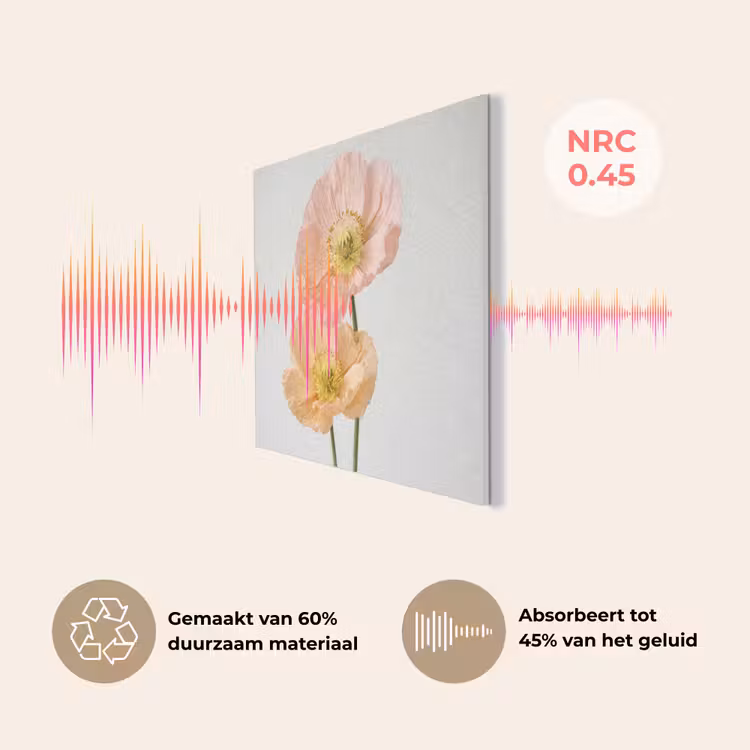 Papavers - Botanisch - Roze PET vilt klein -USP_NL