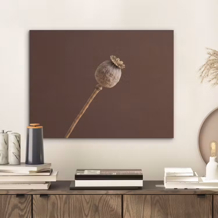 Papaverbol - Droogbloem - Bruin - Minimalistisch PET vilt klein -sfeer1