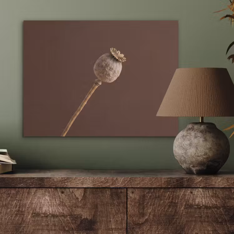 Papaverbol - Droogbloem - Bruin - Minimalistisch PET vilt klein -sfeer2