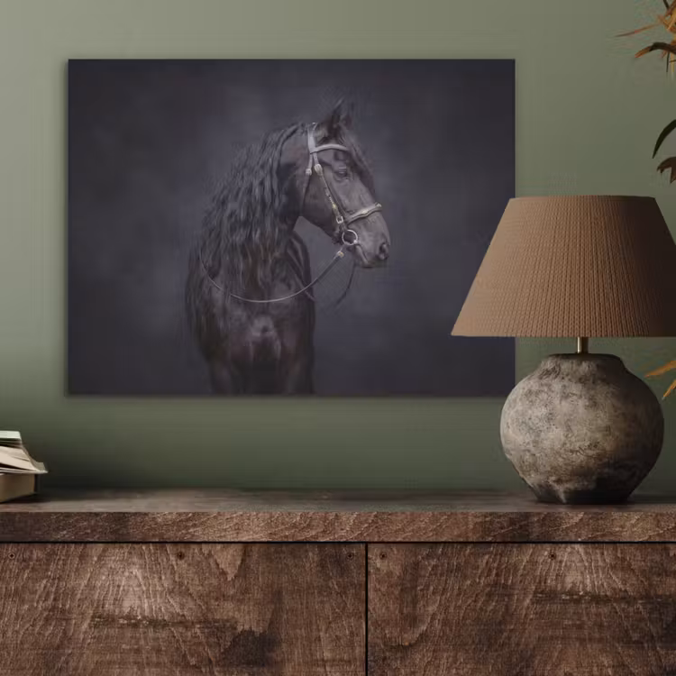 Portret - Paard - Donker PET vilt klein -sfeer2