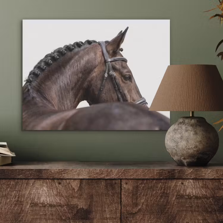 Portret - Paard - Elegant PET vilt klein -sfeer2