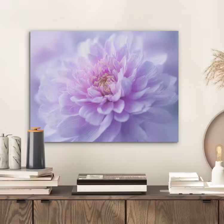 Paars - Dahlia - Dromerig PET vilt klein -sfeer1