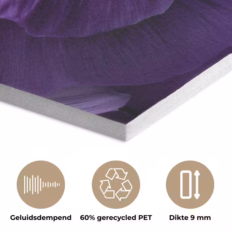Paars - Viool - Diepte PET vilt klein -closeup_NL
