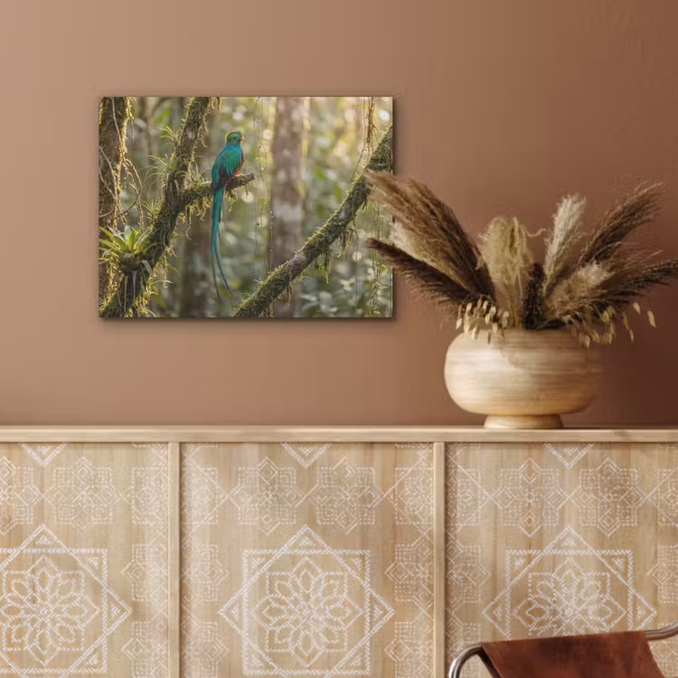 Quetzal - Jungle - Natuur - Groen PET vilt klein -sfeer4