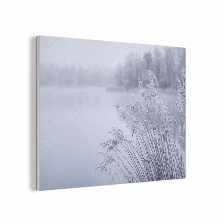 Riet - Bevroren - Winter - Natuur PET vilt klein -3d