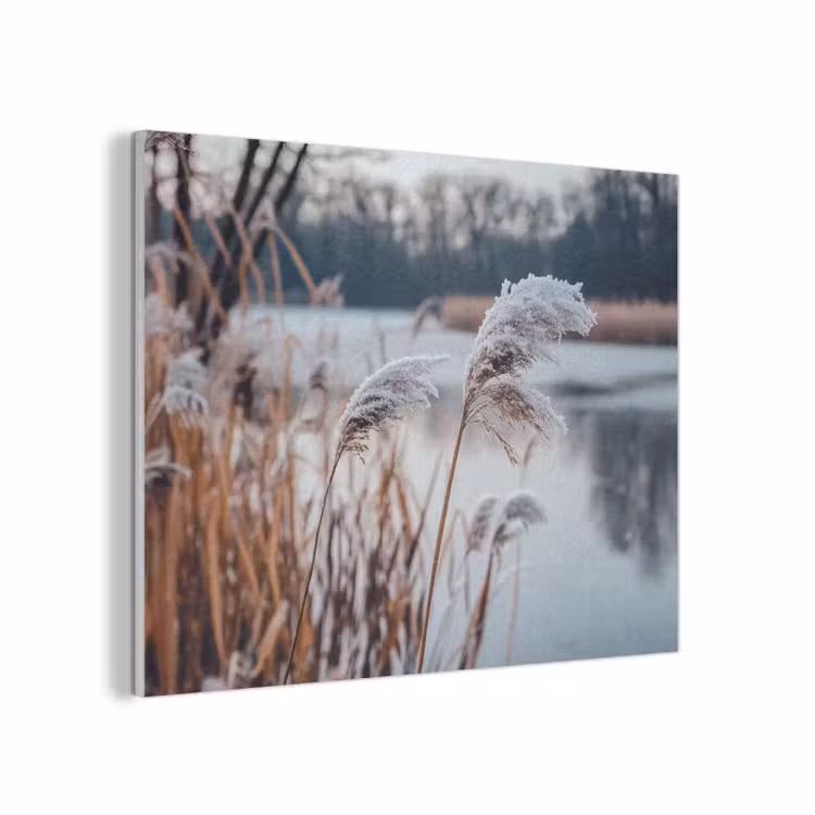 Riet - Gras - Natuur - Winter - Meer PET vilt klein -3d
