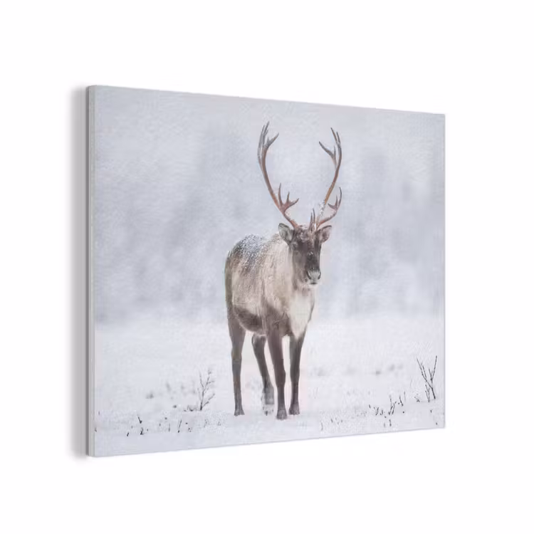 Rendier - Gewei - Toendra - Sneeuw - Wild PET vilt klein -3d
