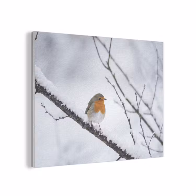 Roodborstje - Tak - Sneeuw - Winter - Levendig PET vilt klein -3d