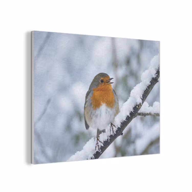 Roodborstje - Tak - Sneeuw - Winter - Levendig PET vilt klein -3d