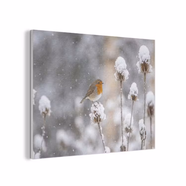 Roodborstje - Gedroogde bloem - Sneeuw - Winter - Vertederend PET vilt klein -3d