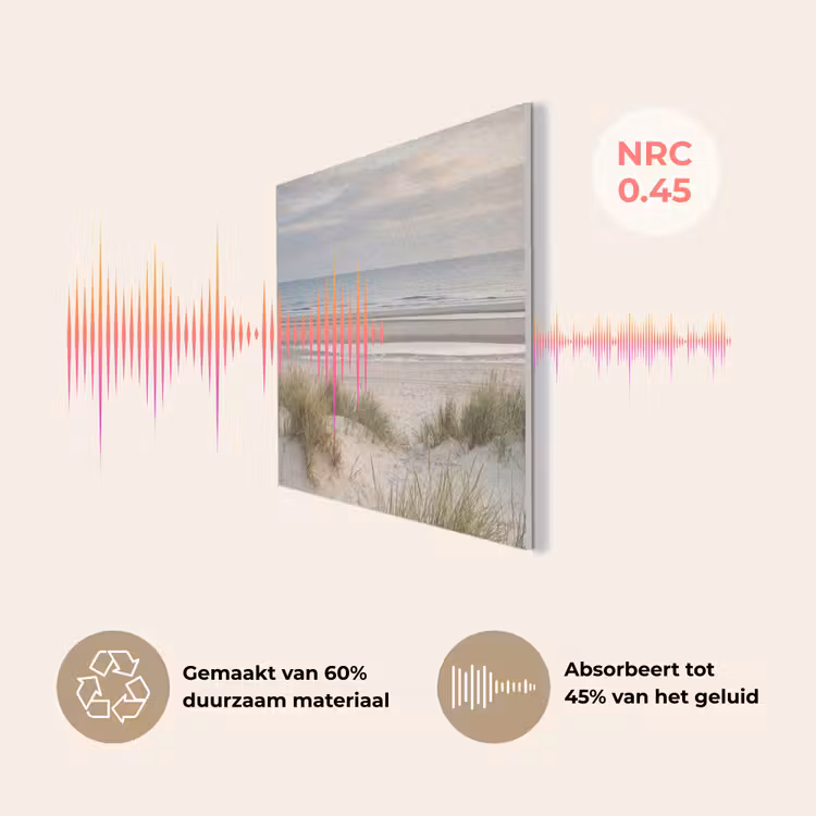Zandstrand - Bewolkt - Duinen PET vilt klein -USP_NL