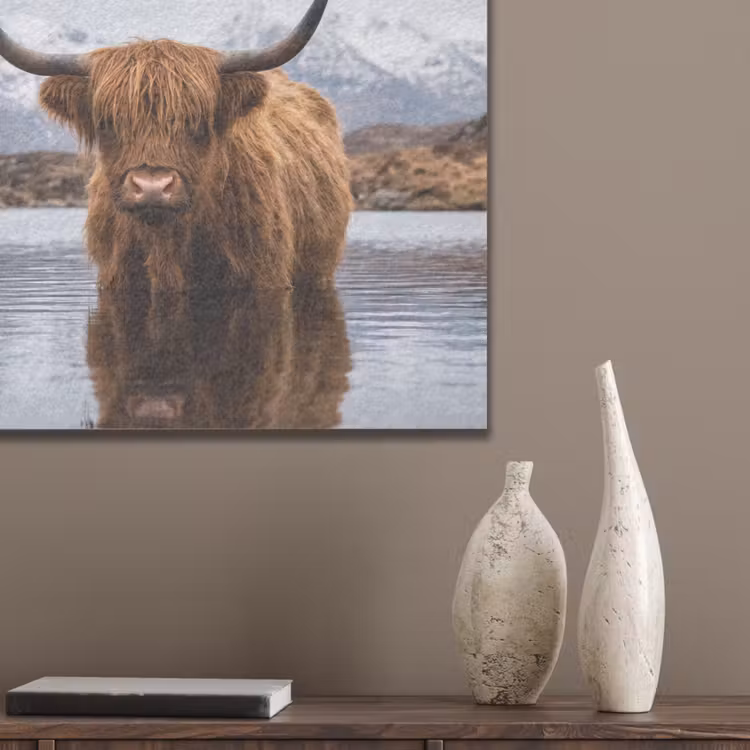Schotse hooglander - Bruin - Water PET vilt klein -sfeer6_closeup