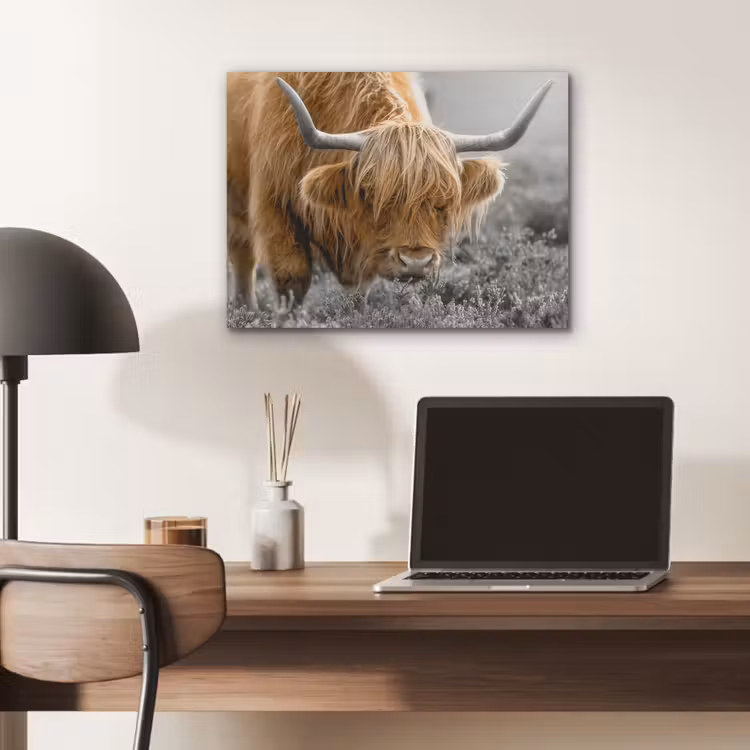 Schotse Hooglander - Dieren - Bruin - Koe - Zwart - Wit - Natuur PET vilt klein -sfeer5