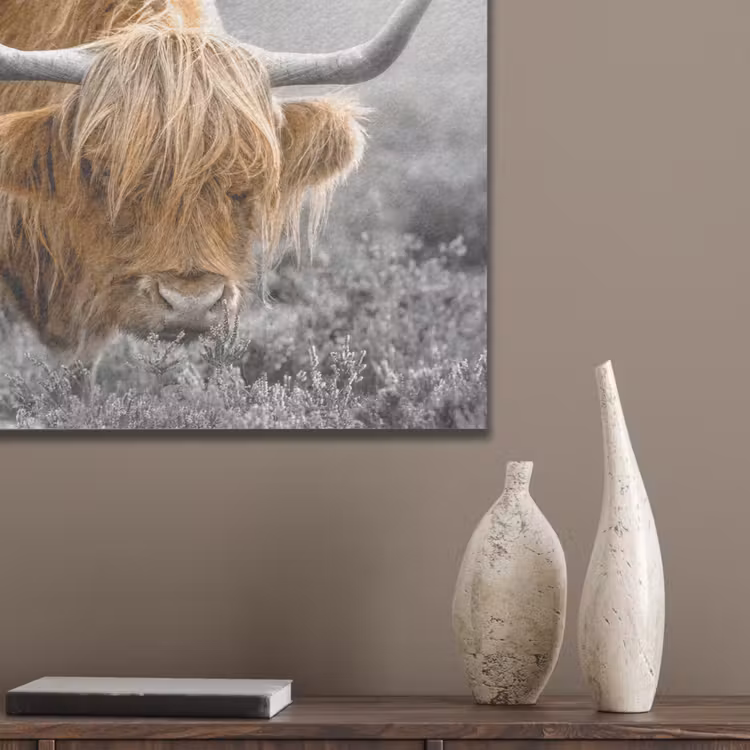 Schotse Hooglander - Dieren - Bruin - Koe - Zwart - Wit - Natuur PET vilt klein -sfeer6_closeup