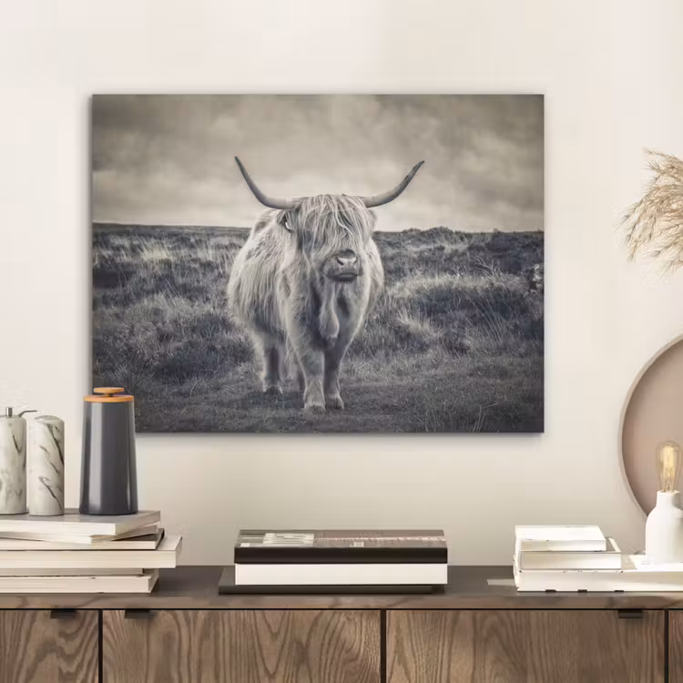 Schotse hooglander - Dieren - Wolken - Koe - Natuur PET vilt klein -sfeer1