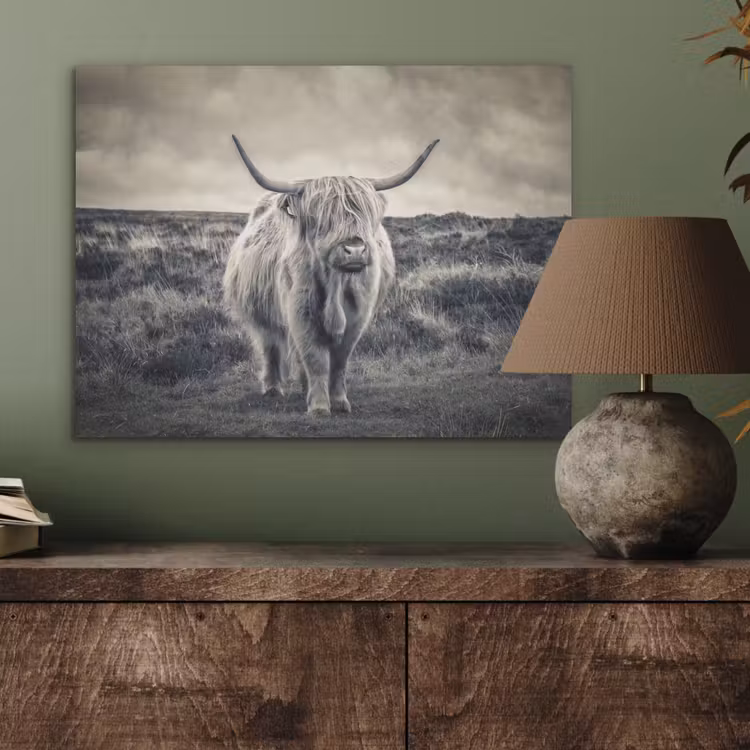 Schotse hooglander - Dieren - Wolken - Koe - Natuur PET vilt klein -sfeer2