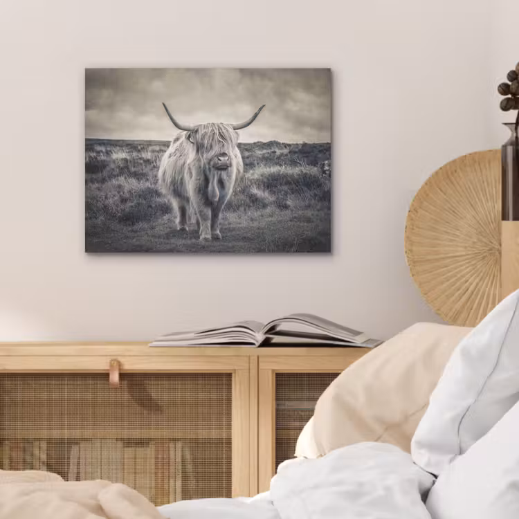 Schotse hooglander - Dieren - Wolken - Koe - Natuur PET vilt klein -sfeer3