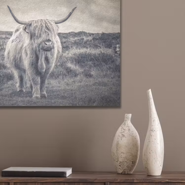 Schotse hooglander - Dieren - Wolken - Koe - Natuur PET vilt klein -sfeer6_closeup