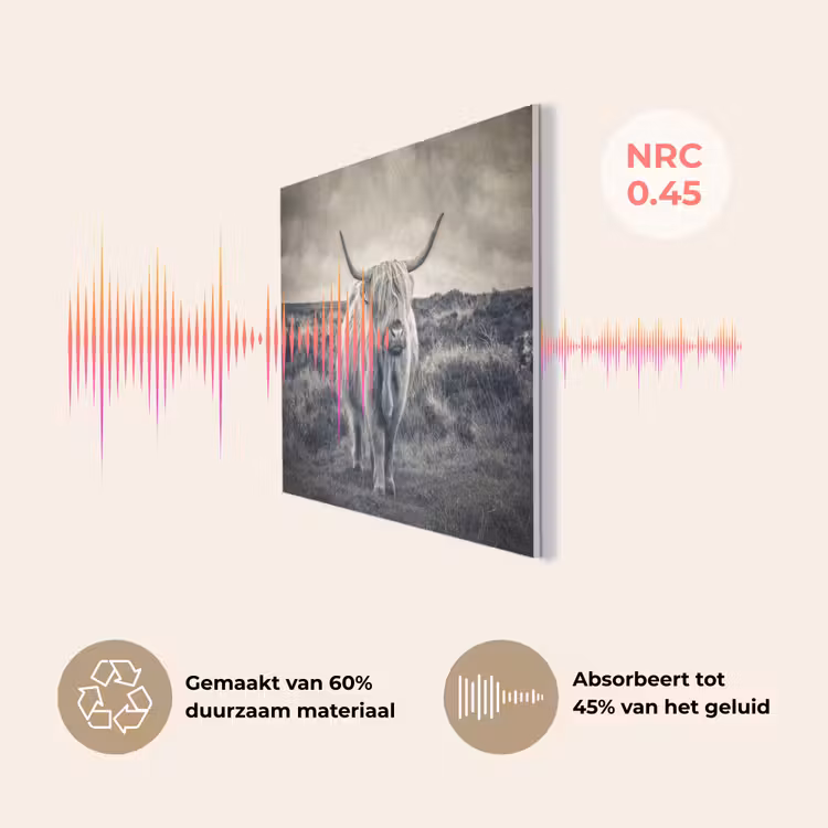 Schotse hooglander - Dieren - Wolken - Koe - Natuur PET vilt klein -USP_NL