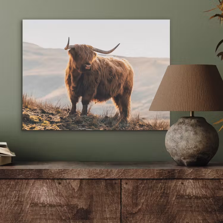 Schotse hooglander - Dieren - Landelijk - Landschap - Koe - Natuur PET vilt klein -sfeer2