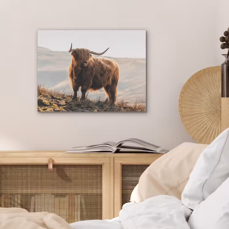 Schotse hooglander - Dieren - Landelijk - Landschap - Koe - Natuur PET vilt klein -sfeer3