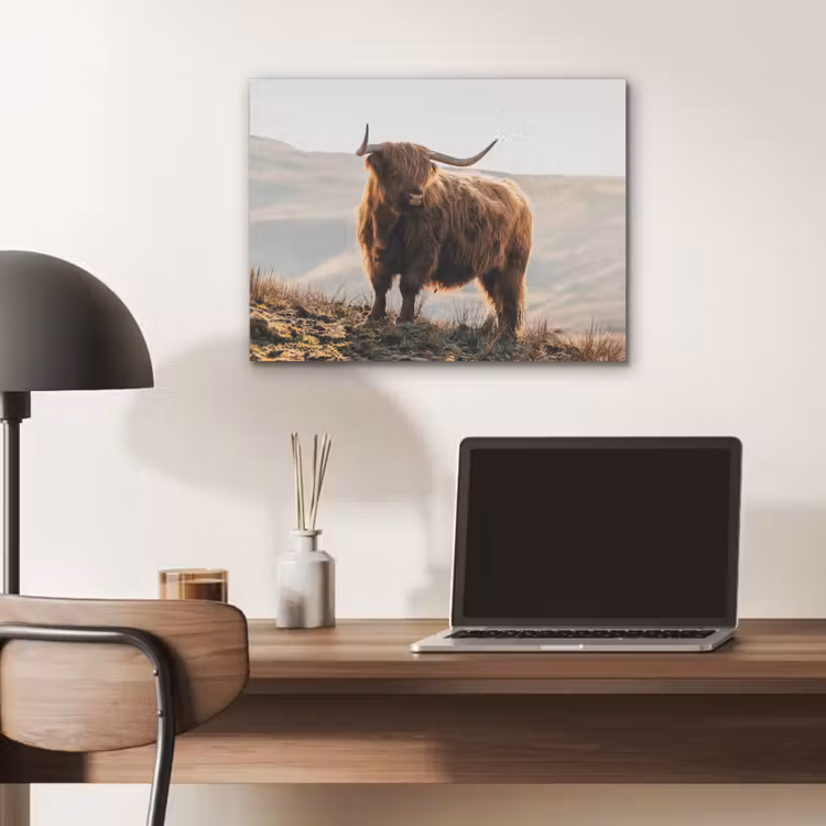 Schotse hooglander - Dieren - Landelijk - Landschap - Koe - Natuur PET vilt klein -sfeer5