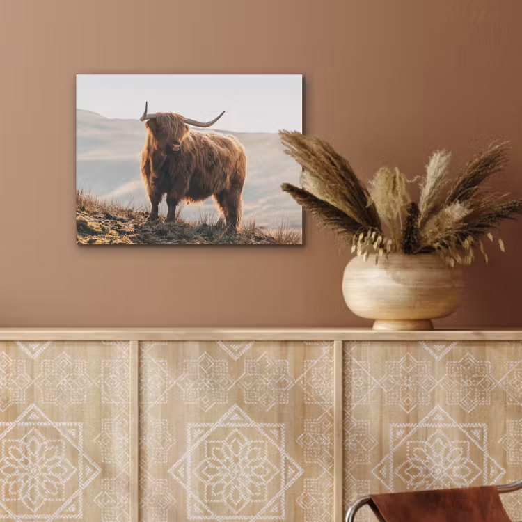 Schotse hooglander - Dieren - Landelijk - Landschap - Koe - Natuur PET vilt klein -sfeer4
