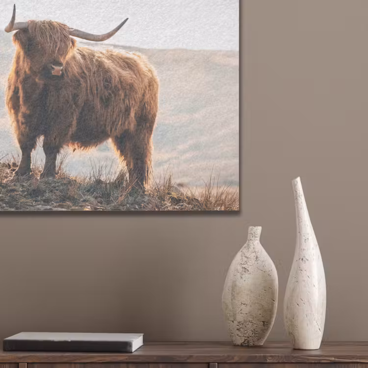 Schotse hooglander - Dieren - Landelijk - Landschap - Koe - Natuur PET vilt klein -sfeer6_closeup