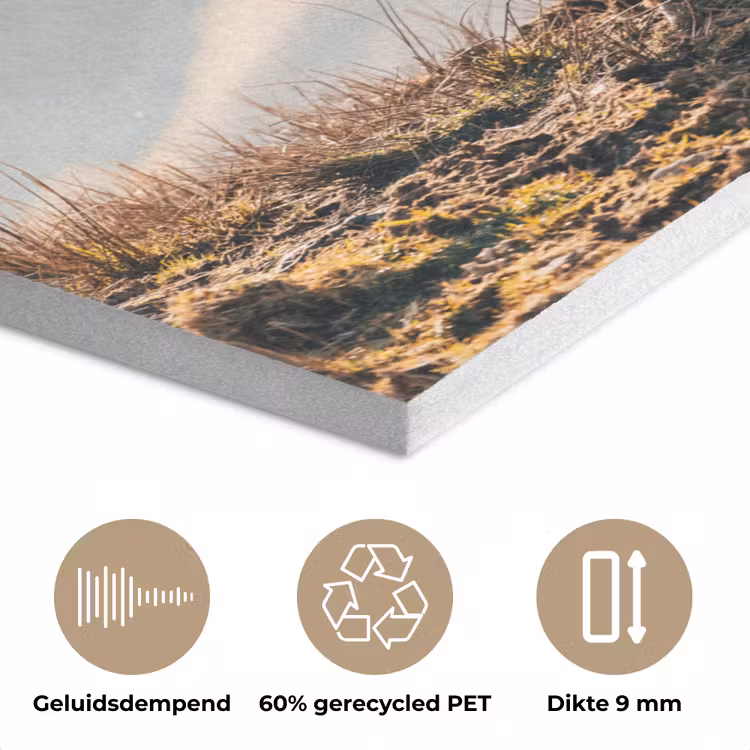 Schotse hooglander - Dieren - Landelijk - Landschap - Koe - Natuur PET vilt klein -closeup_NL