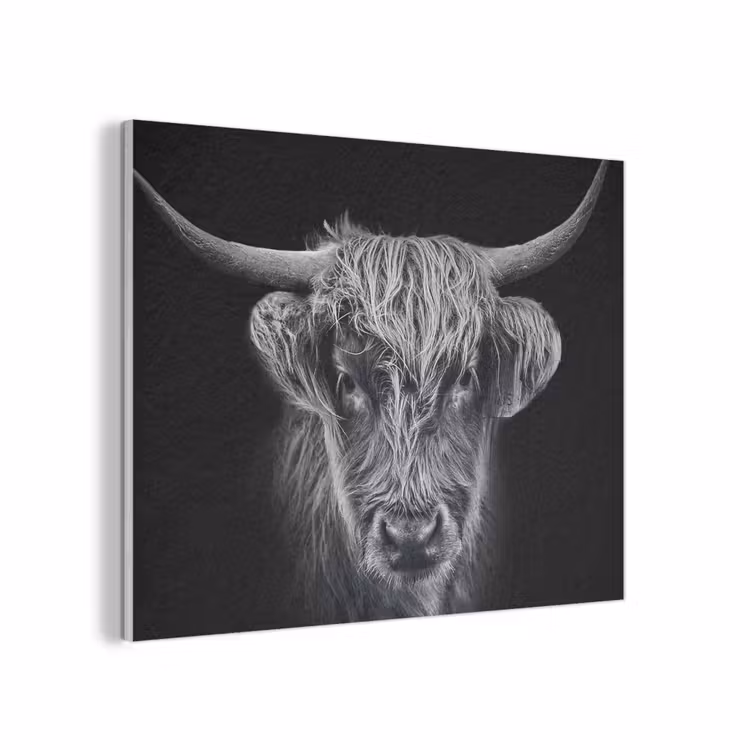 Schotse hooglander - Zwart - Koe - Dieren PET vilt klein -3d