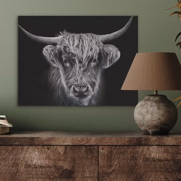 Schotse hooglander - Zwart - Koe - Dieren PET vilt klein -sfeer2