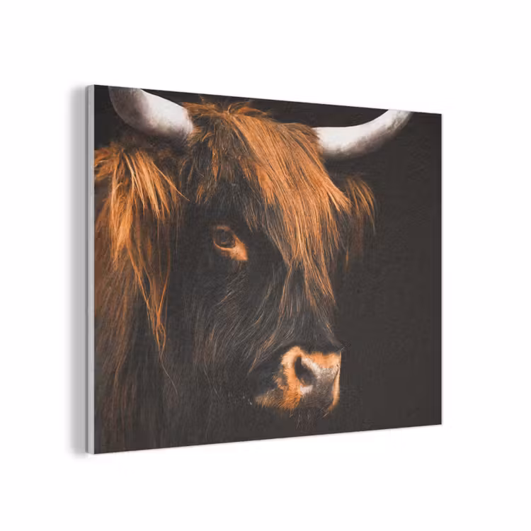 Schotse hooglander - Zwart - Koe - Hoorn - Dieren PET vilt klein -3d