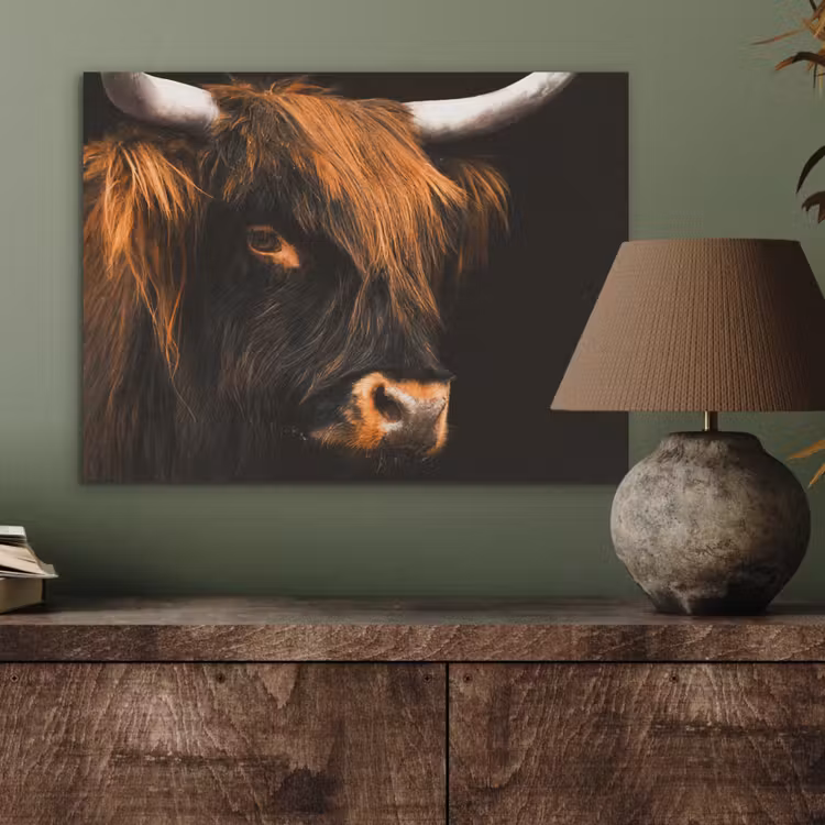 Schotse hooglander - Zwart - Koe - Hoorn - Dieren PET vilt klein -sfeer2