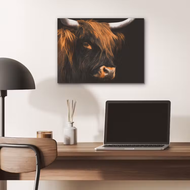 Schotse hooglander - Zwart - Koe - Hoorn - Dieren PET vilt klein -sfeer5