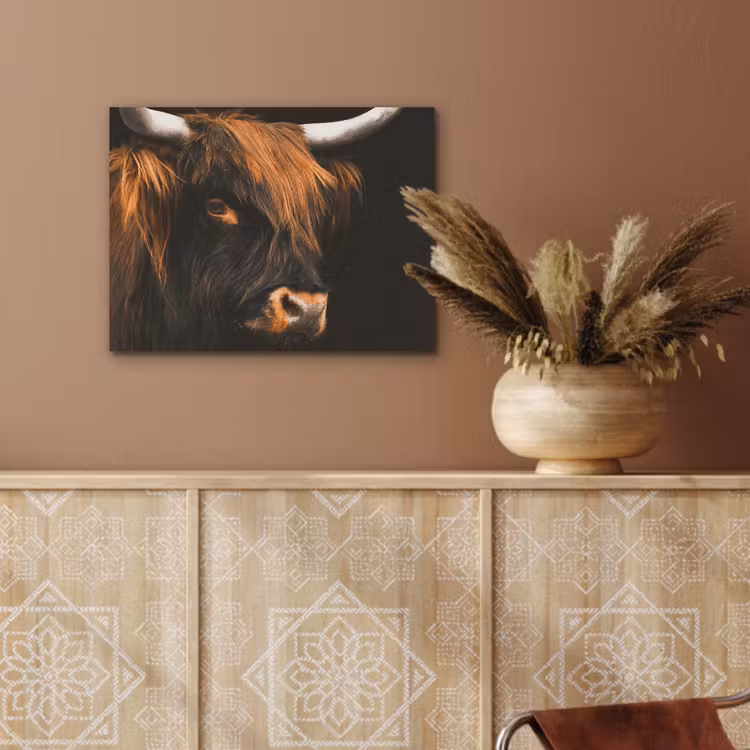 Schotse hooglander - Zwart - Koe - Hoorn - Dieren PET vilt klein -sfeer4