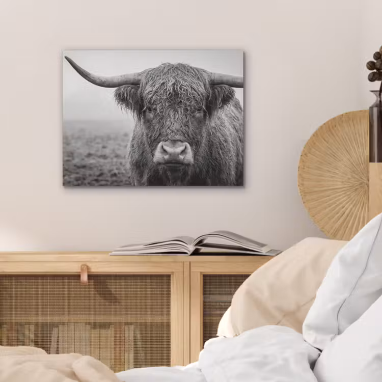 Schotse hooglander - Zwart - Wit - Gras PET vilt klein -sfeer3