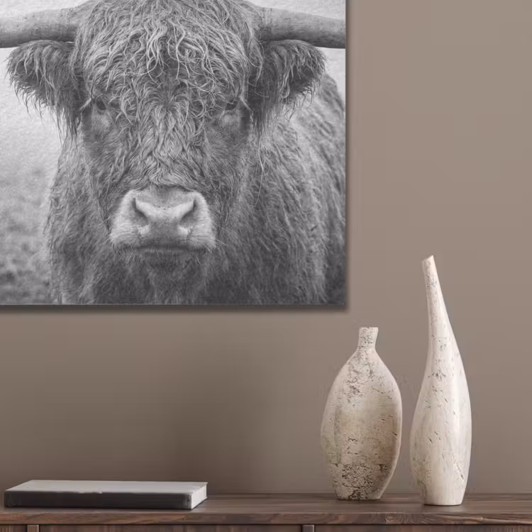 Schotse hooglander - Zwart - Wit - Gras PET vilt klein -sfeer6_closeup