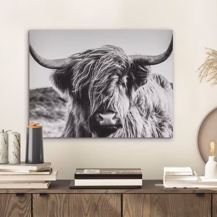 Schotse hooglander - Close up - Horens - Vacht - Zwart Wit PET vilt klein -sfeer1